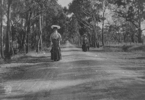 album Film Negatives and Glass Plates from Tasmania